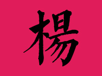 杨姓男宝宝起名大全