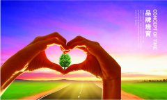 竞争环境下品牌命名的决策