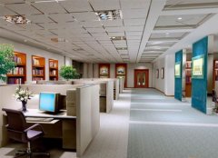 办公室环境布置大全