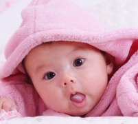 给蛇宝宝起英文名