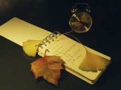 品牌文化中的品牌命名