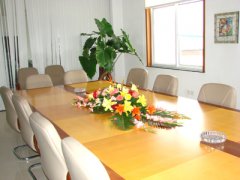 实业发展公司取名