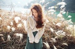 拖拉机品牌命名字