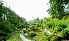 北京哪里有起名的