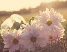 机械及行业设备品牌起名方法技巧