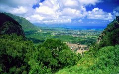 基于定位理论的品牌起名