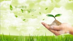 环保绿化公司命名