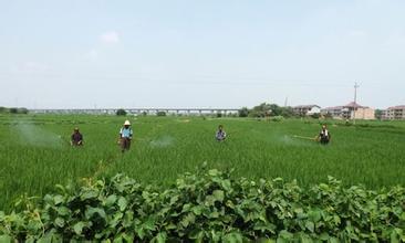 农业合作社起名