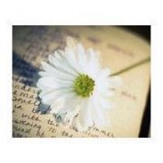 qq个性签名大全