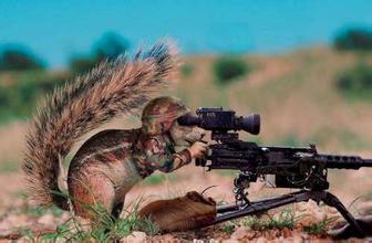 动物名称大全及英文名字