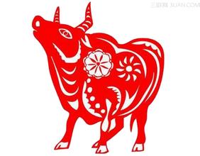 属牛的2016年适合的环境布局