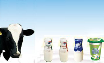 鲜奶配送品牌起名