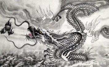 龙的环境作用，你了解多少