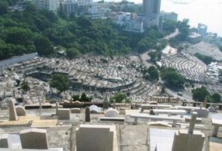 农村墓地环境怎么看