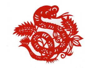 2017年属蛇之人的运程