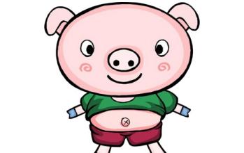 2017年属猪之人的运程