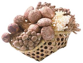 山珍干货系列产品商标取名