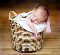 属鸡宝宝取名宜忌2017款