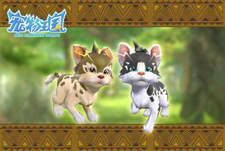 2016年游戏宠物起名大全