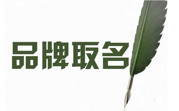 品牌起名公司推荐