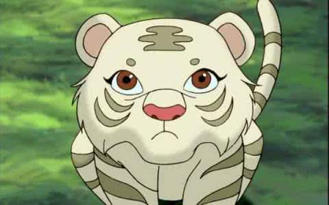 2017年5月份属虎人的运势