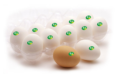 给鸡蛋品牌起名大全