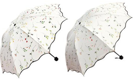 雨伞品牌取名办法与策略