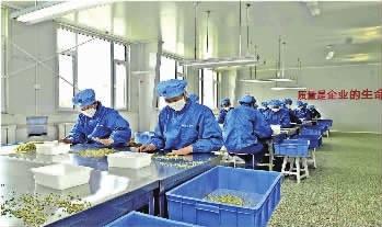 中药公司起名及名字大全