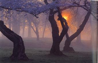 梦见闹鬼是怎么回事